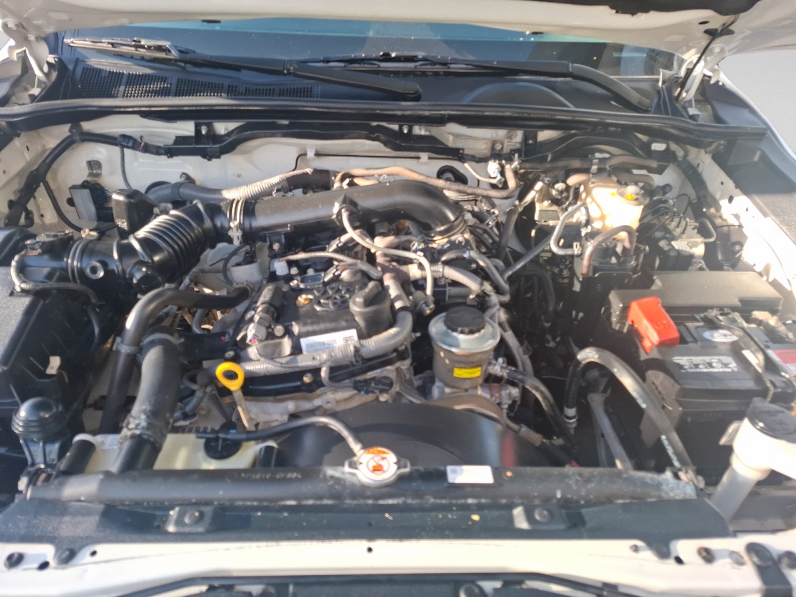 2023 Toyota HILUX D-CAB BASE